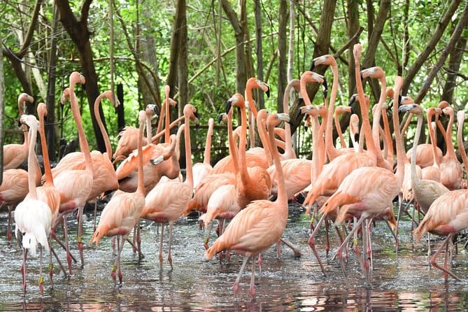 Aviario Nacional