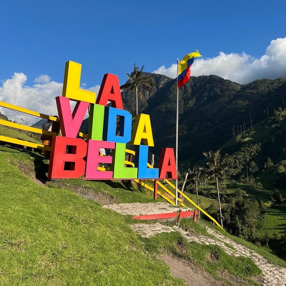La Vida Bella